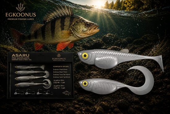 Asaru PRO komplekts | Embrion Shad & Twist Tail